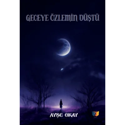 Geceye Özlemin Düştü